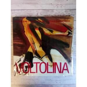 Voltolina (Italian Edition) ~ Luigi Volotina HC/DJ Vianello Libri 1990
